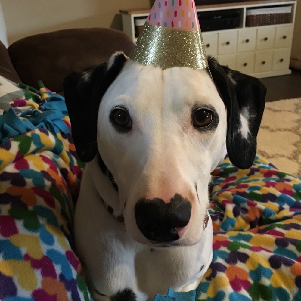 Meet your Posher, Shanonn